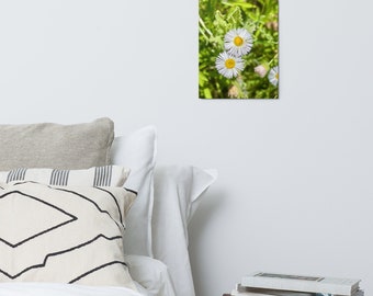 Flor Metal Print Wall Art Office Decor, Arizona Sonoran Desert Wildflowers, Small Spaces Home Decor