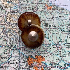 May include: Two brown and white patterned cabinet knobs with silver accents. The knobs are round and have a raised design.
