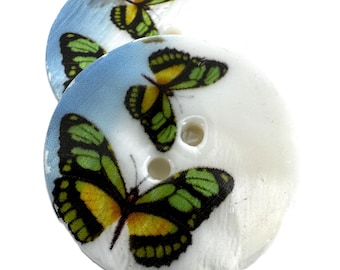 6 x 28mm, 6 x 23mm, 6 x 20mm, 6 x 15mm Shell Buttons  different designs