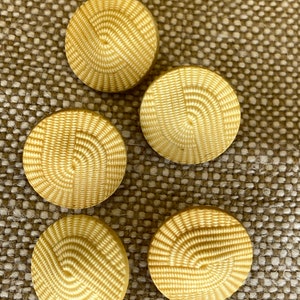 Può includere: Cinque bottoni rotondi di colore crema con una trama tessuta. I bottoni hanno un design circolare rialzato al centro.