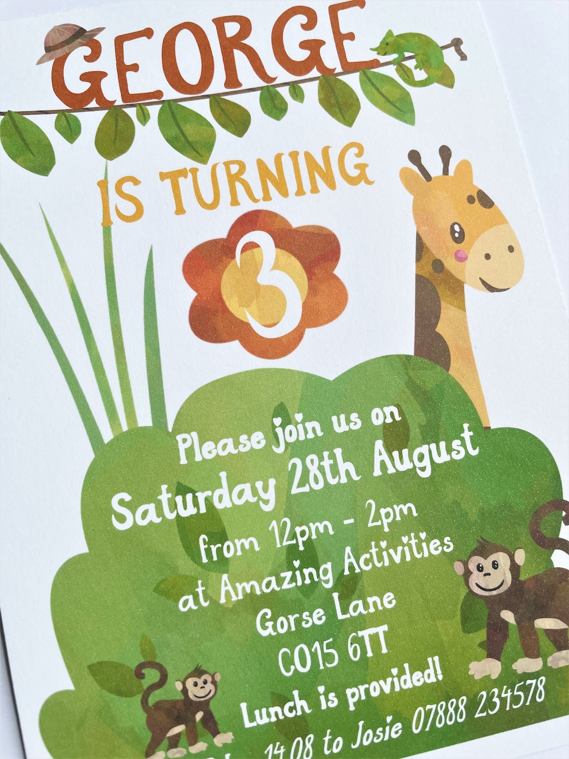 Jungle Birthday Party invitations Pack of 12FREE UK P&P | Etsy