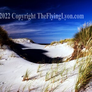 Puede incluir: Una vista de dunas de arena blanca con hierba alta creciendo a los lados. El cielo es azul brillante con nubes blancas. El texto "2022 Copyright TheFlyingLyon.com" está en la parte superior de la imagen.