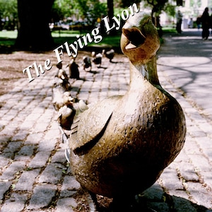 Boston Make Way For Ducklings Statues 16&quot; X 20&quot; Frameable Aerial Photograph by Todd Lyon