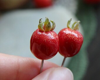 Rosehip Berry Pin Berry Brooch Plant Botanical Hawthorn Polymer Clay Pin Rosebud Pin Dog Rose Brooch