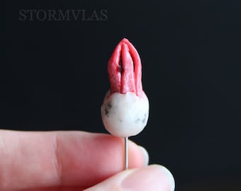 Octopus Stinkhorn Clathrus Archeri Mushroom Brooch Fungi Pin