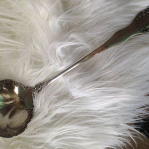 May include: A silver ladle with an ornate handle and a round bowl. The handle features a decorative floral design at the end. The ladle is likely vintage or antique, and is suitable for serving soups or sauces.