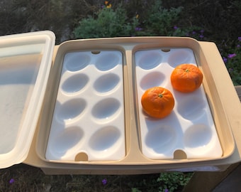 Vintage Tupperware plastic tan and white 4 piece set for deviled eggs tray storage 1970's