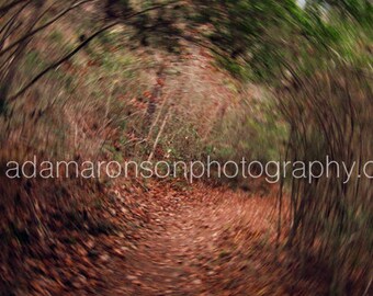 Photograph of pathway swirly