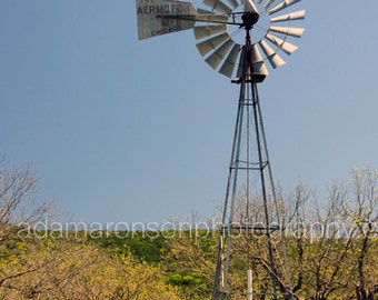 Photograph of windmill portrait