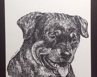 Rottweiler Art Print (Note Card) - SHIPS FREE!