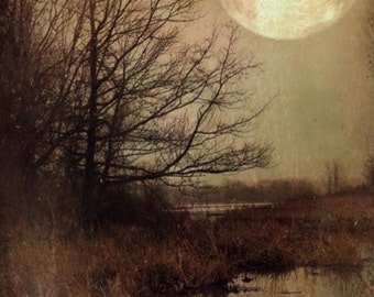 Landscape - Presque Isle, Erie Pa, lagoons, trees, moon, haunting, serene, spooky, matte, metallic photo