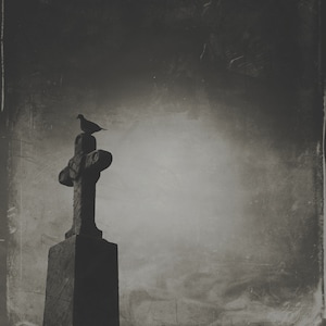 Alberi - Nero & Bianco, Lapide, cimitero, Spettrale, uccello, croce, Fotografia anticata
