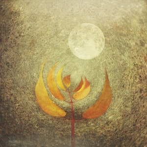 Landscape- moon, leaves, concrete, texture, orange, erie pa, metallic, matte, photography,