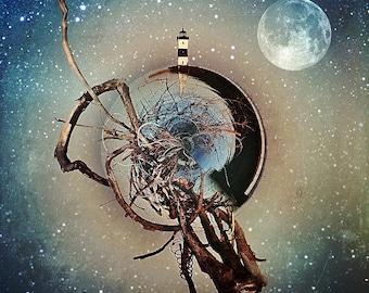 Lighthouse - North Pier Lighthouse, tiny planet, tree, branches, twisted, moon, blue, green, stars, photo