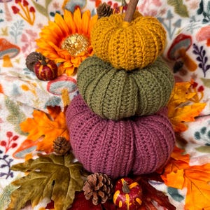 May include: A stack of three crocheted pumpkins in shades of gold, green, and purple, topped with a cinnamon stick. The pumpkins are surrounded by fall leaves, pinecones, and a sunflower, creating a seasonal autumn display.