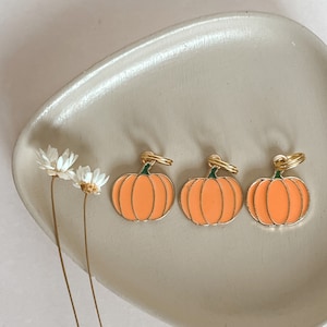 Pumpkin charm, Metal charms, Charms for dogs, Pet charms, enamel charms, Fall charm
