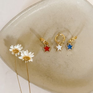 Tiny Star Charm, Charms for dogs, Pet charms, enamel charms