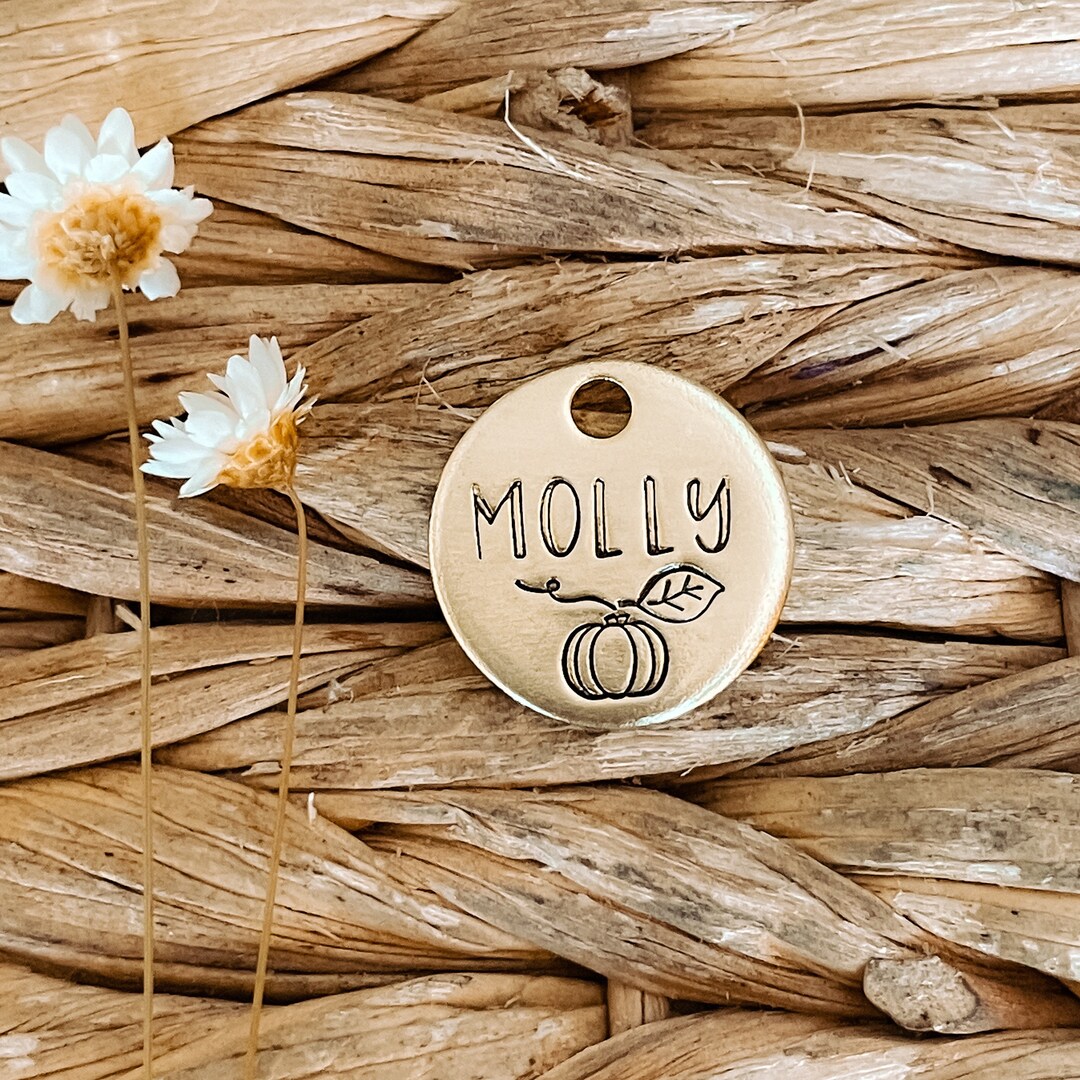 MINI PUMPKIN Dog Tag Pet Id Tag Personalized Dog Tag Hand Etsy