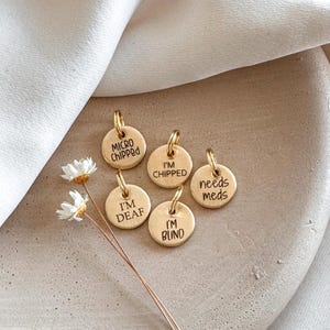 Personalizied Microchipped Dog Tag Charm — Brass or Nickel