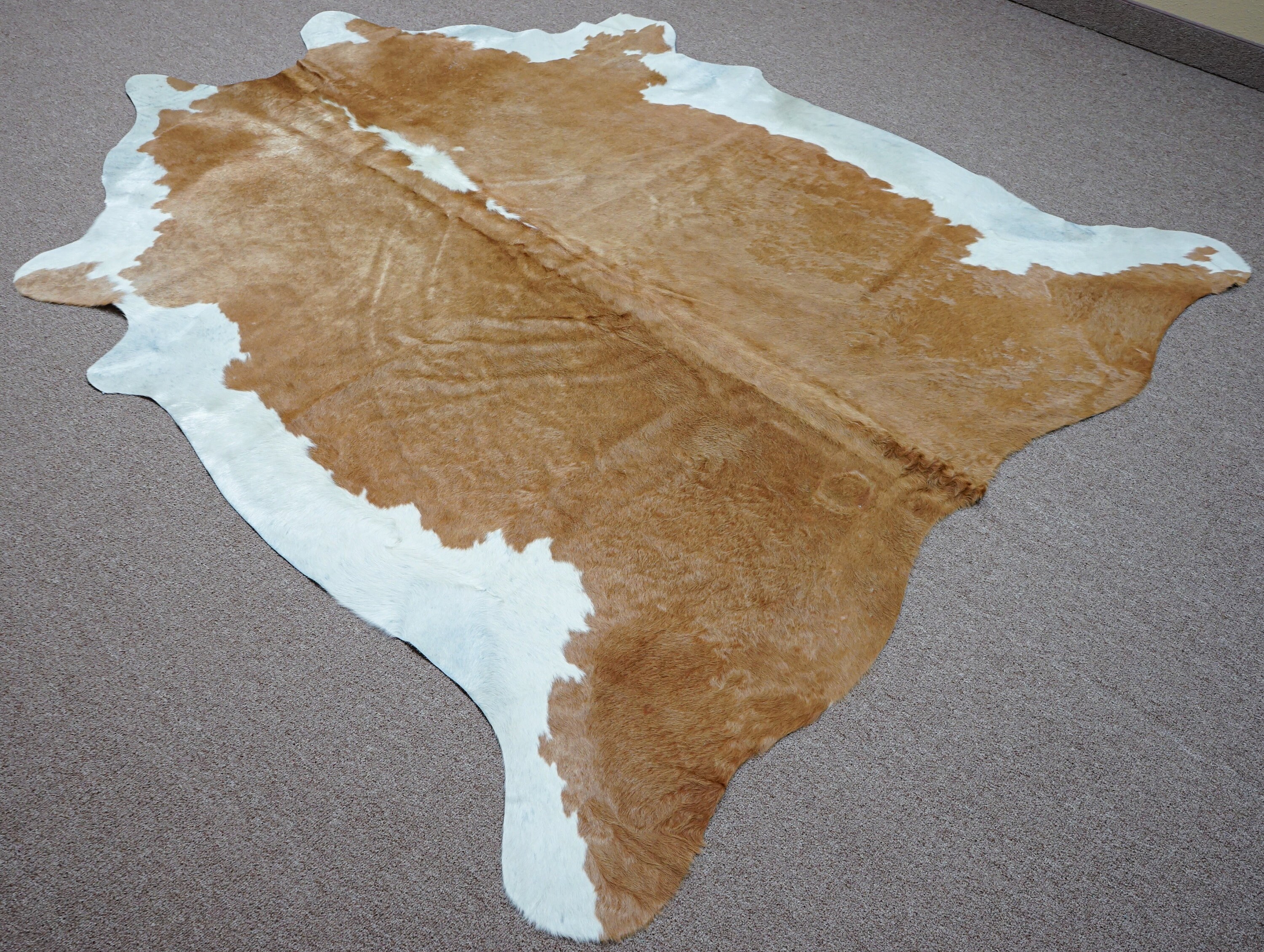 Extra Large rustic style exotic Cowhide rug 7.3 X 6.8ft 3861 Etsy
