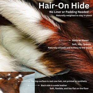 May include: Close-up of a hair-on hide with a natural sheen and soft, silky texture. The hide features a mix of brown, white, and reddish-brown colors. The text indicates the top surface is real cow hair and the back is suede leather.