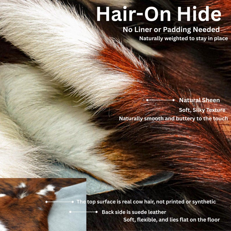 May include: Close-up of a hair-on hide with a natural sheen and soft, silky texture. The hide features a mix of brown, white, and reddish-brown colors. The text indicates the top surface is real cow hair and the back is suede leather.