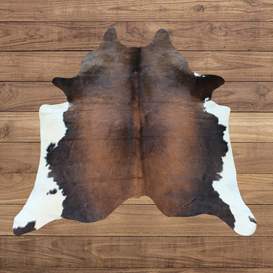Extra Large RODEO Longhorn Cowhide Rug 7x 5.9 Ft 4249 Etsy