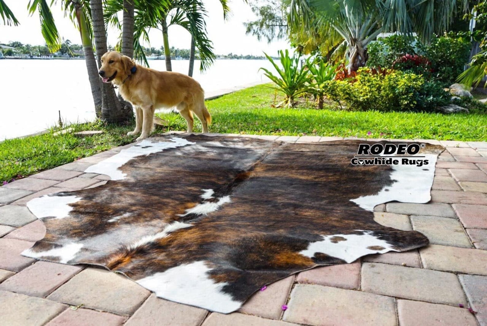 Rodeo Rug Amazing Rodeo Brazilian Cowhide Rug Size L/XL APPROX 6x7/7x7/7x8ft - Etsy
