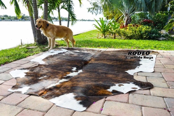 Amazing Rodeo Brazilian  Cowhide Rug Size L/XL APPROX 6x7/7X7/7x8FT