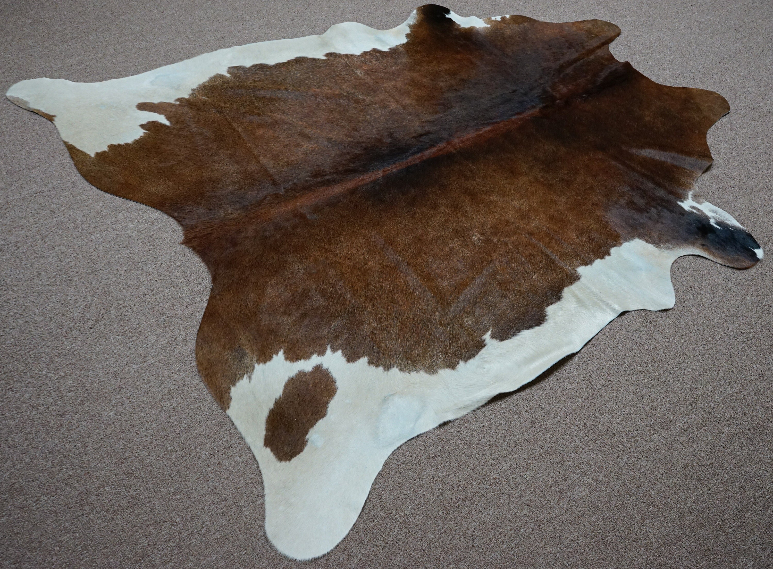 Large rustic exotic Cowhide rug 6.6 X 6.2ft 3774 Etsy
