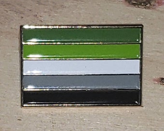 Aromantische Stolz Flagge Emaille Anstecknadel