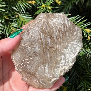 Elestial Smoky Quartz || Choose Your Own Crystal!