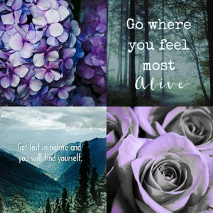 May include: A collage of four images with a nature theme. The top left image shows a close-up of purple hydrangeas. The top right image shows a forest with the text "Go where you feel most Alive". The bottom left image shows a mountain range with the text "Get lost in nature and you will find yourself.". The bottom right image shows a close-up of purple roses.