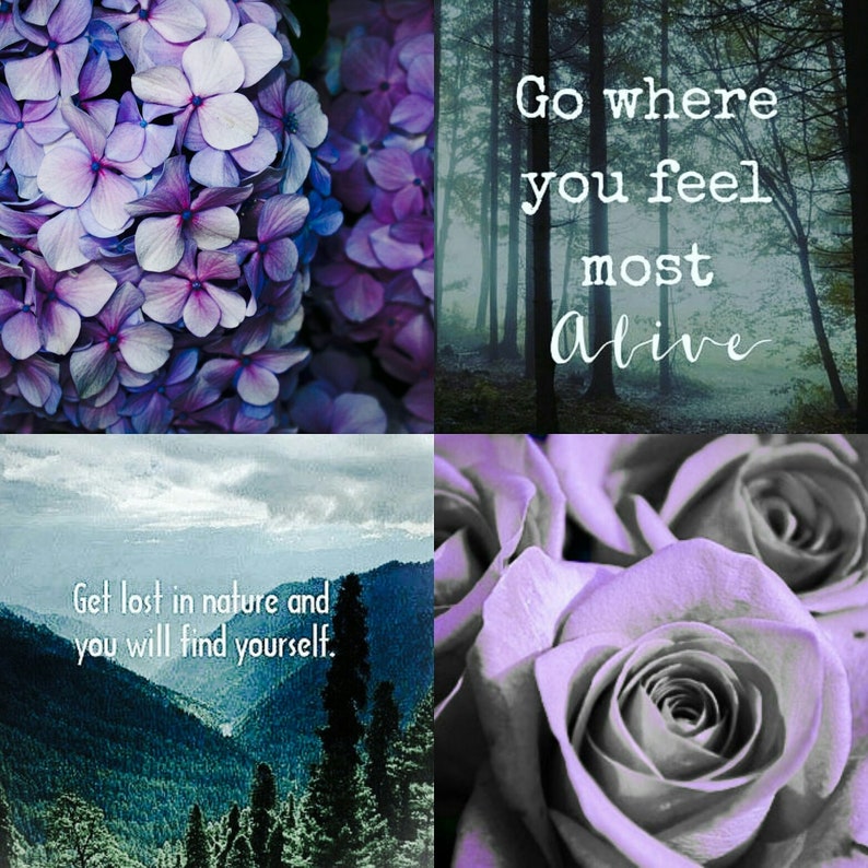 May include: A collage of four images with a nature theme. The top left image shows a close-up of purple hydrangeas. The top right image shows a forest with the text "Go where you feel most Alive". The bottom left image shows a mountain range with the text "Get lost in nature and you will find yourself.". The bottom right image shows a close-up of purple roses.