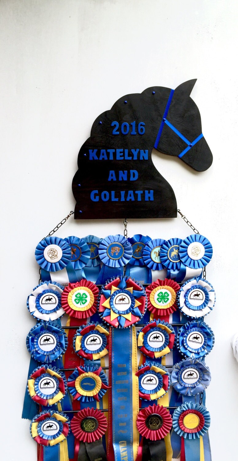 Deluxe Customized Horse Show Ribbon Display/Award 5 Ribbon Etsy