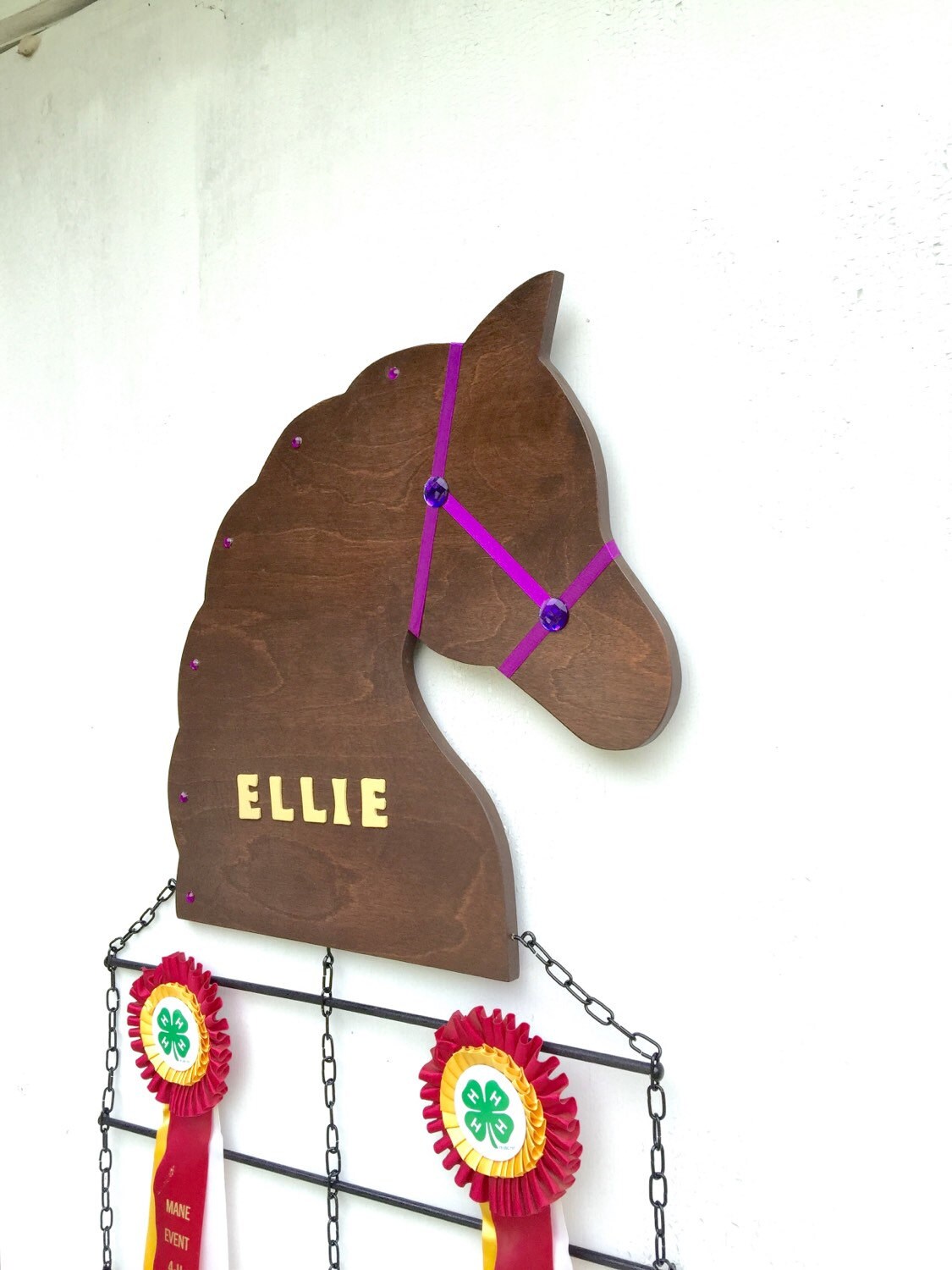 Deluxe Customized Horse Show Ribbon Display/award 4 Ribbon Etsy