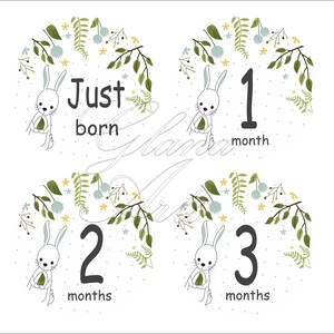 HarperLynn HarperLynn Baby Monthly Milestone Onesie Stickers (16 Stickers - Dinosaur) - Great Shower Gift For First Time Parents Of Boy Or Girl - 4 In Round - Fits Memory Planners