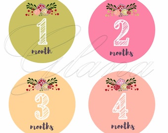 Baby Month Stickers Baby Milestone Stickers Baby Girl Pink Grey Floral Bodysuit Stickers Month Stickers Baby Shower Gift Photo Prop