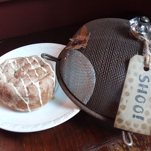 May include: A white plate with a cinnamon roll topped with white icing. A metal mesh dome with a brown tag that says "Shoos!" is next to the plate.