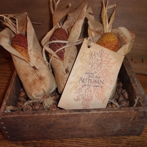 Primitive Grungy Indian Corn Harvest Time Fall Bowl Filler Ornies