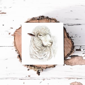 Wenskaart met aquarel wollige schapen