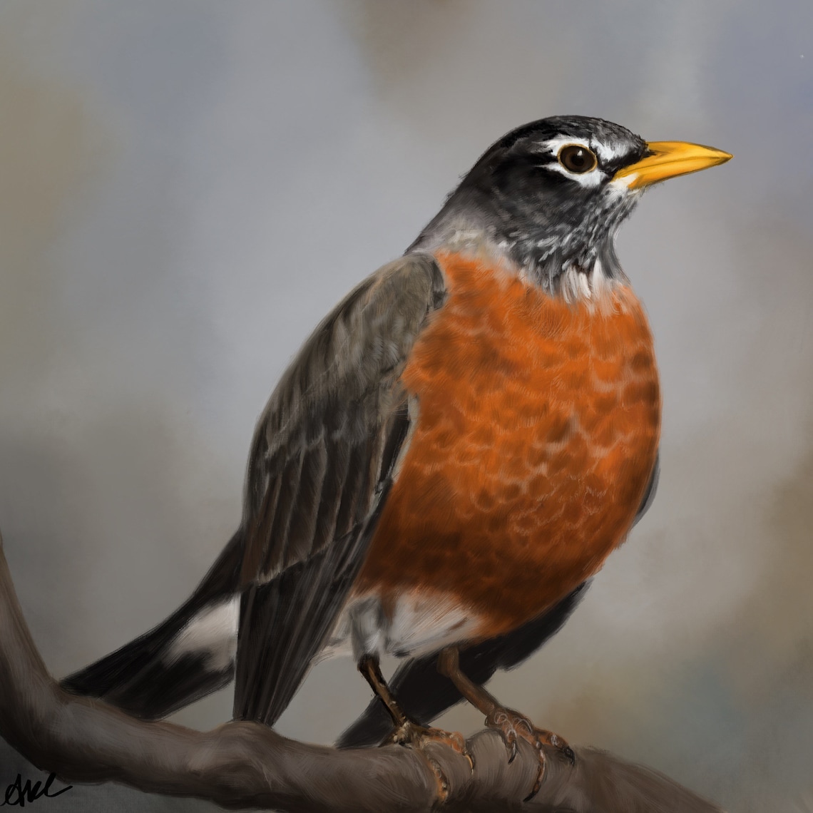 Set of 4 Missouri Backyard Birds Etsy