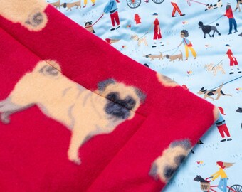Blind But Not Blankie - Pugs and walking dogs