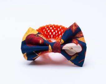 Blind But Not Bow Tie - Fall apples and leaves