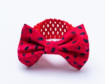 BBN Bowtie - watermelon seeds