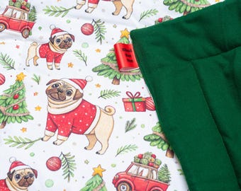 Blind But Not Blankie - Baby Santa Pugs