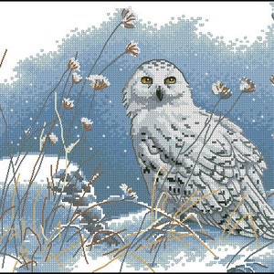 May include: A snowy owl with white and grey feathers sits in a snowy field with tall, brown grasses. The background is a blue and white watercolour wash.