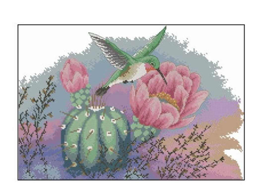 kolibri-und-kaktus-kreuzstichmuster-sofortiger-etsy-de