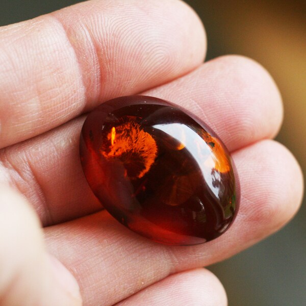 Genuine Baltic Amber Real Natural Amber Dark Cherry Amber piece