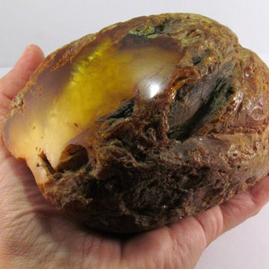 Large Collectible Baltic Amber piece 580 gram, Real Genuine Natural Amber, a Beautiful and Unique Gift